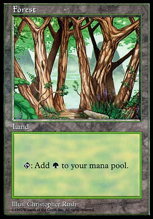 Forest