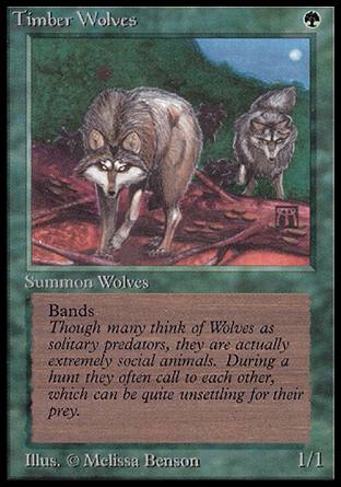 Timber Wolves