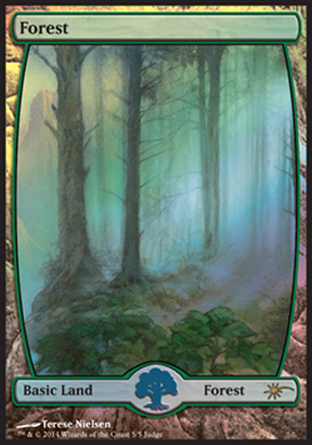 Forest