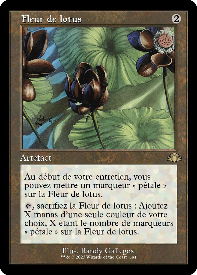 Lotus Blossom