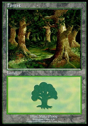 Forest