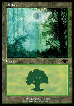 Forest