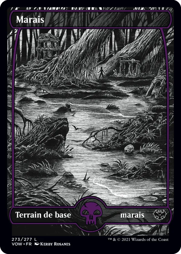 Swamp
