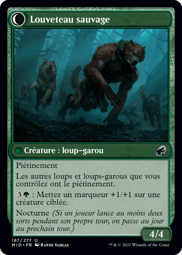Dresseur de chien