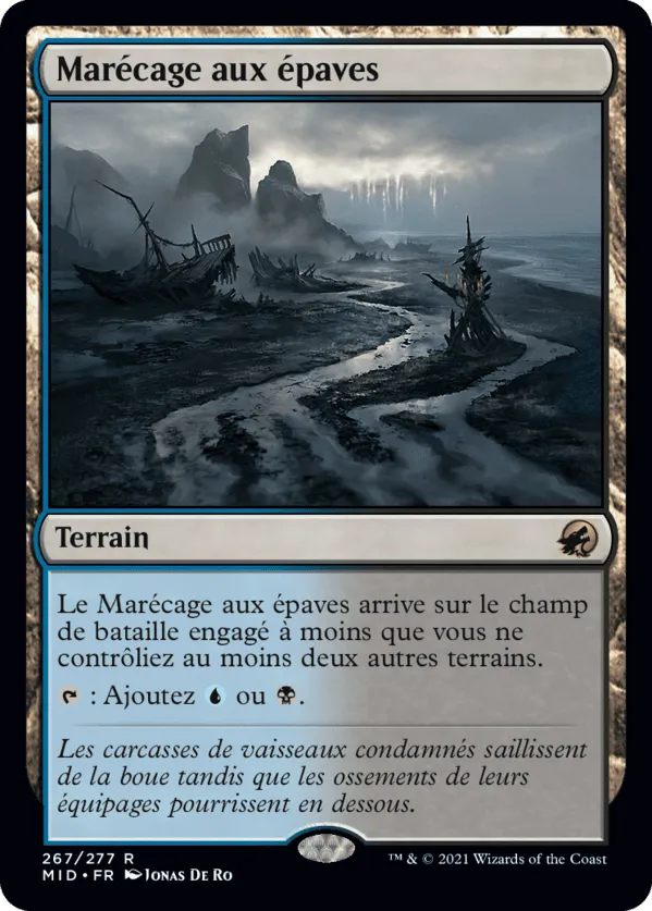 Shipwreck Marsh