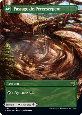 Darkbore Pathway