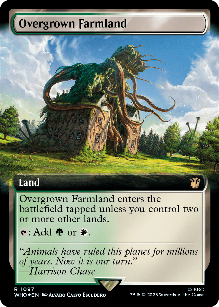 Overgrown Farmland